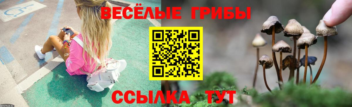 Псилоцибиновые грибы Psilocybine cubensis  Галлюциногенные грибы MAGIC MUSHROOMS  Вход с VPN  Благовещенск 